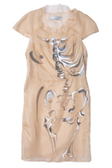 Silk Organza Painted Shift Dress